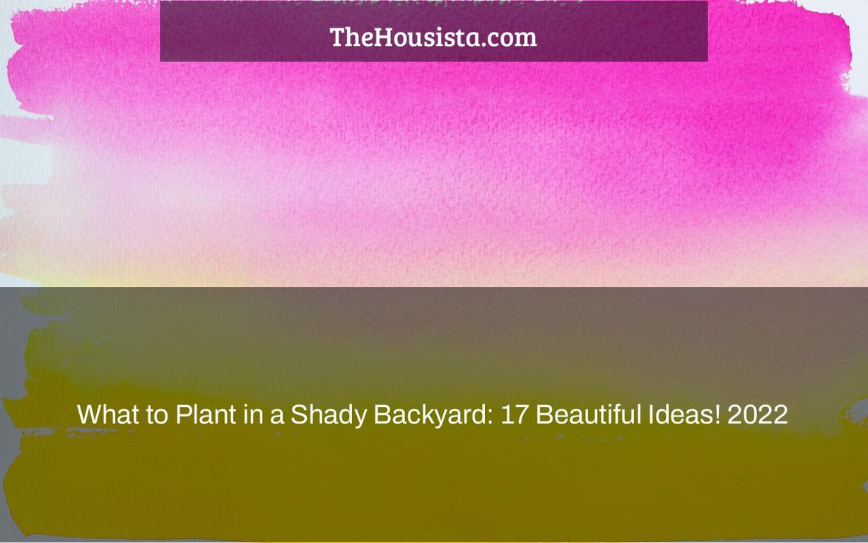 What to Plant in a Shady Backyard: 17 Beautiful Ideas! 2022