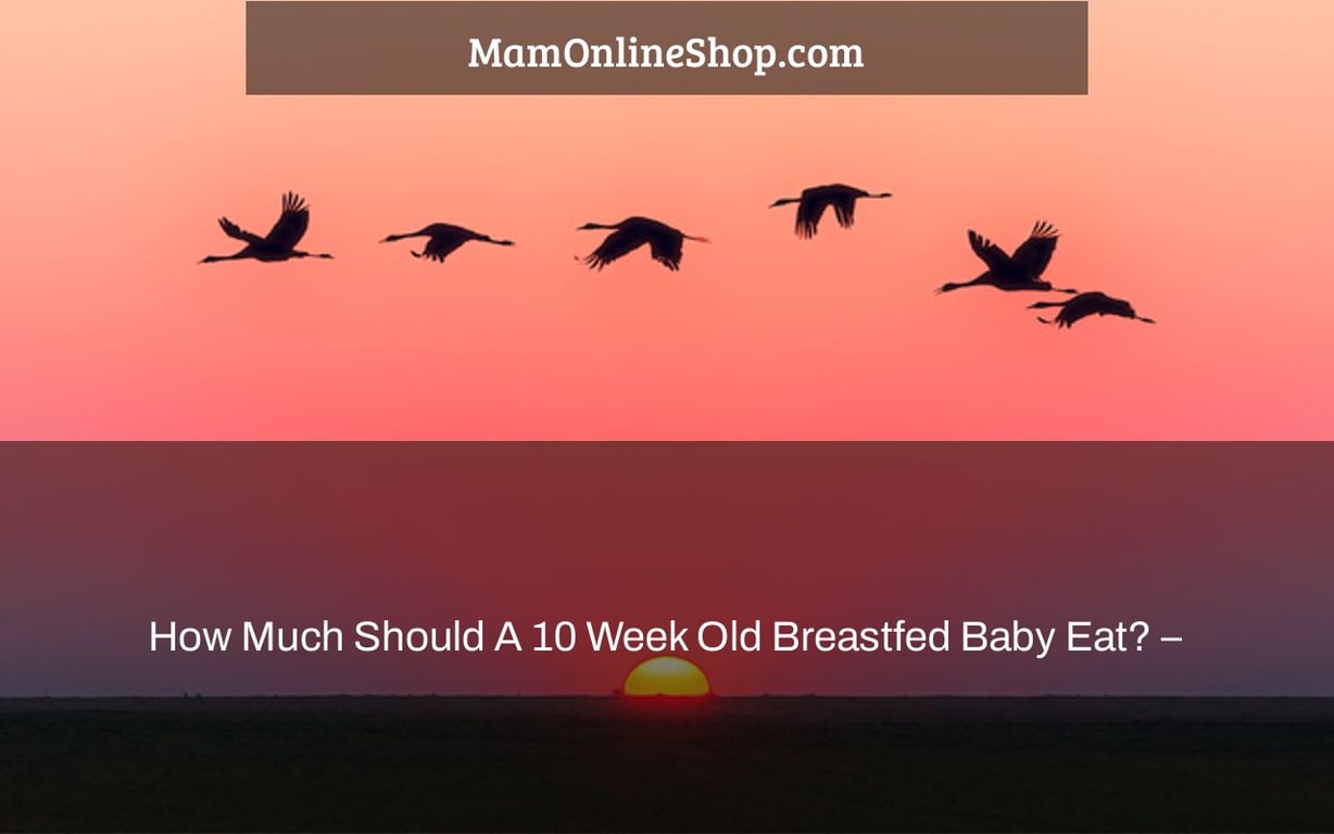 How Much Should A 10 Week Old Breastfed Baby Eat? –
