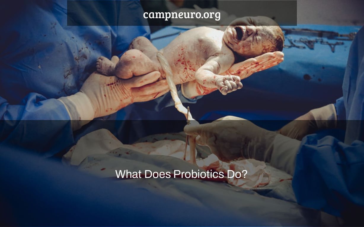 What Does Probiotics Do?