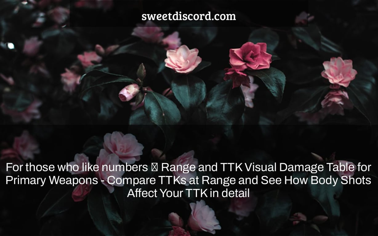 For those who like numbers ⇨ Range and TTK Visual Damage Table for Primary Weapons - Compare TTKs at Range and See How Body Shots Affect Your TTK in detail