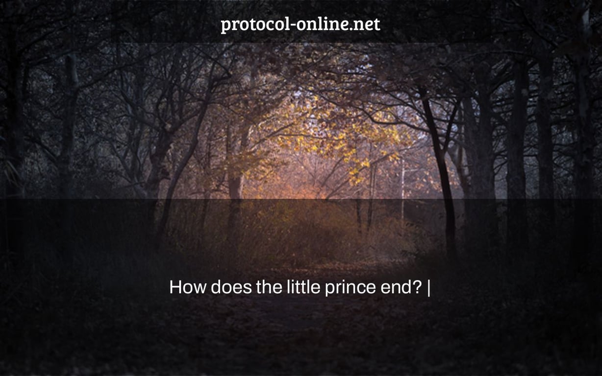 How does the little prince end? |