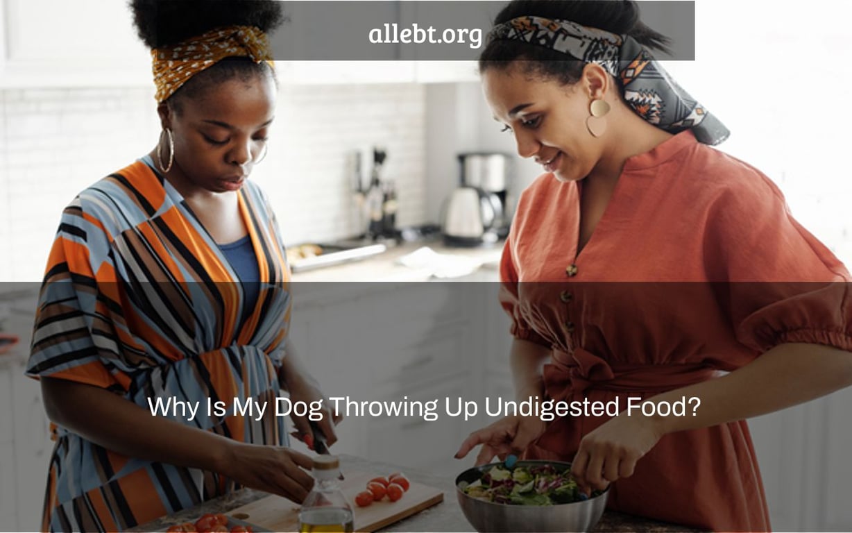 Why is my dog throwing up undigested food 