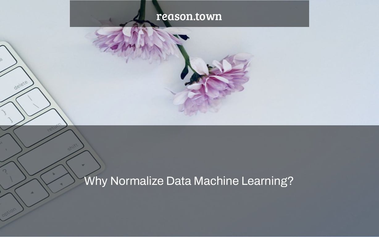 Why Normalize Data Machine Learning?