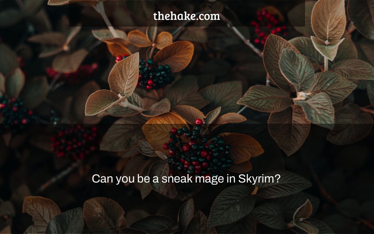 Can you be a sneak mage in Skyrim?