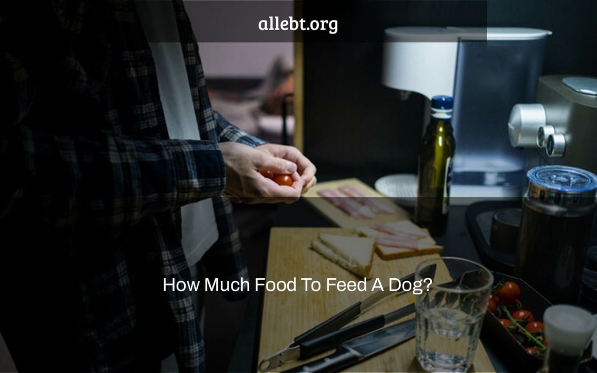 How Much Food To Feed A Dog?