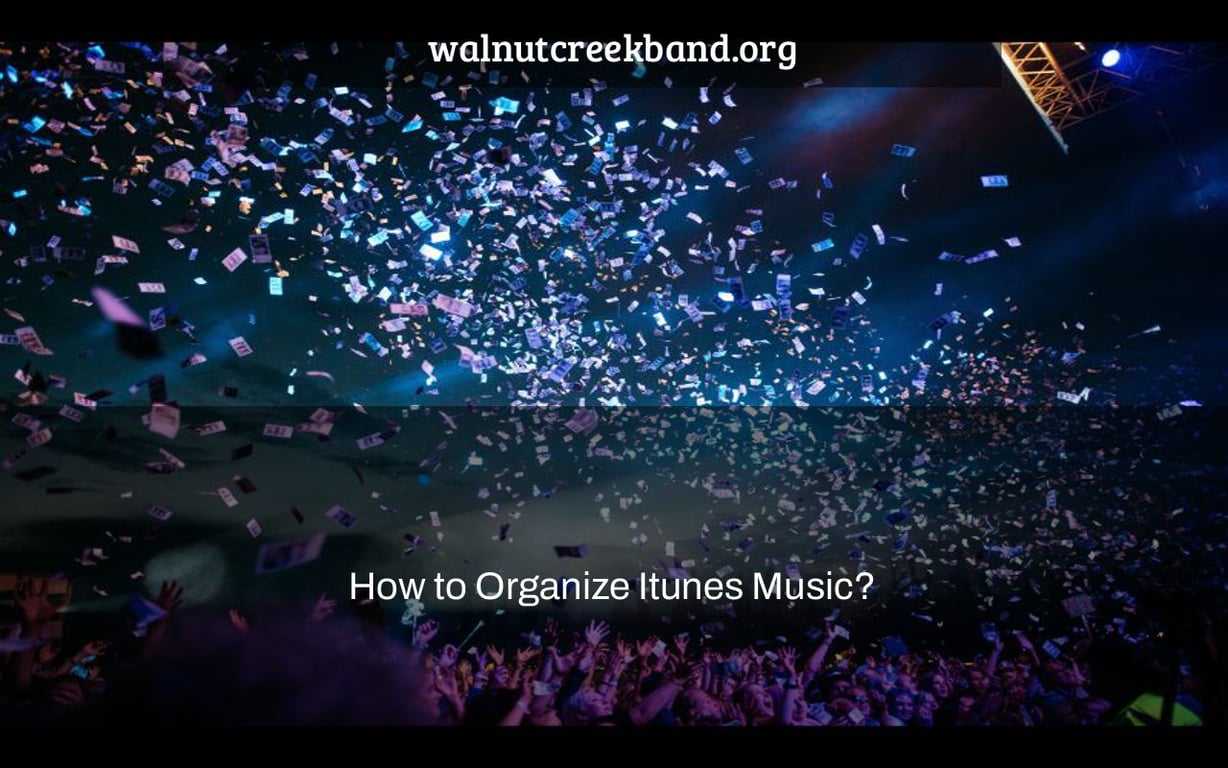 How to Organize Itunes Music?