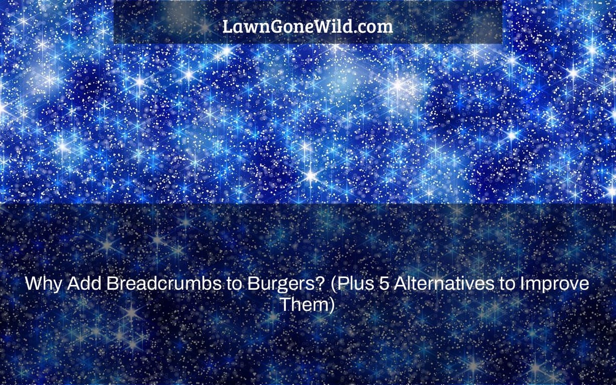 Why Add Breadcrumbs to Burgers? (Plus 5 Alternatives to Improve Them