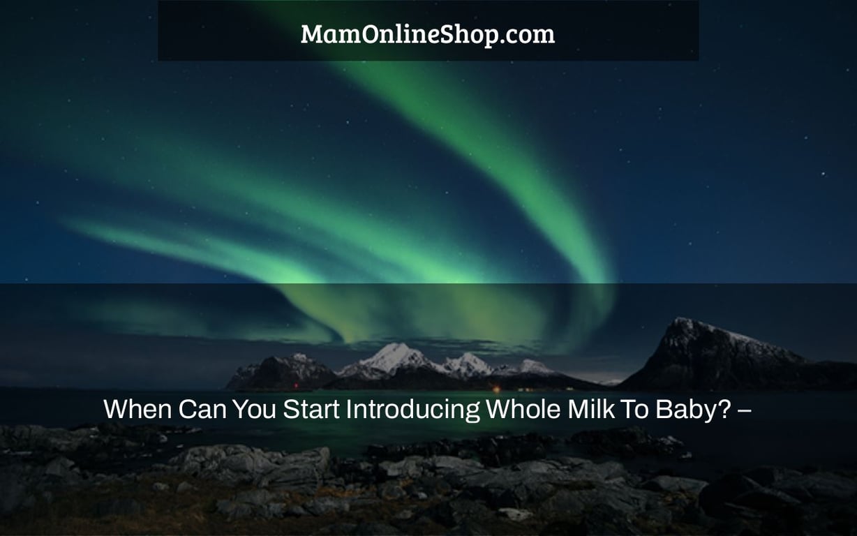 When Can You Start Introducing Whole Milk To Baby? –