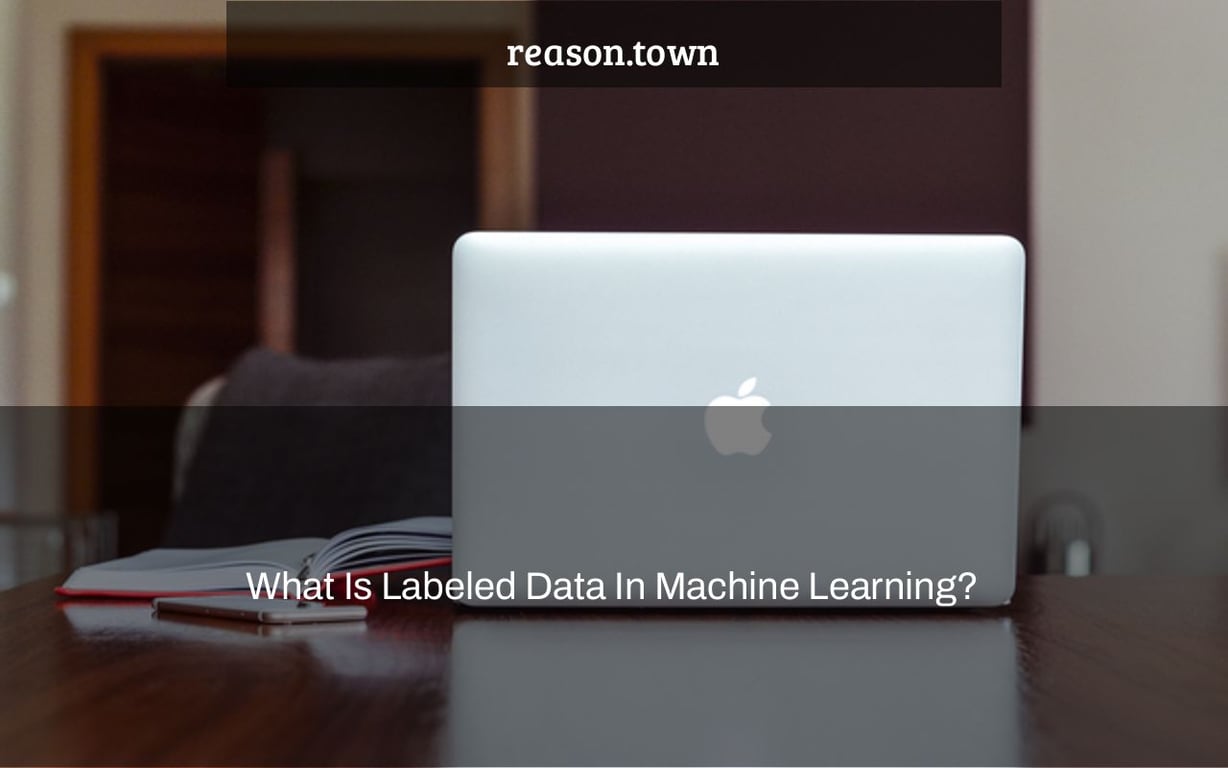 What Is Labeled Data In Machine Learning?