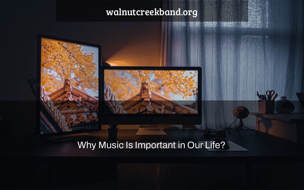 Why Music Is Important in Our Life?