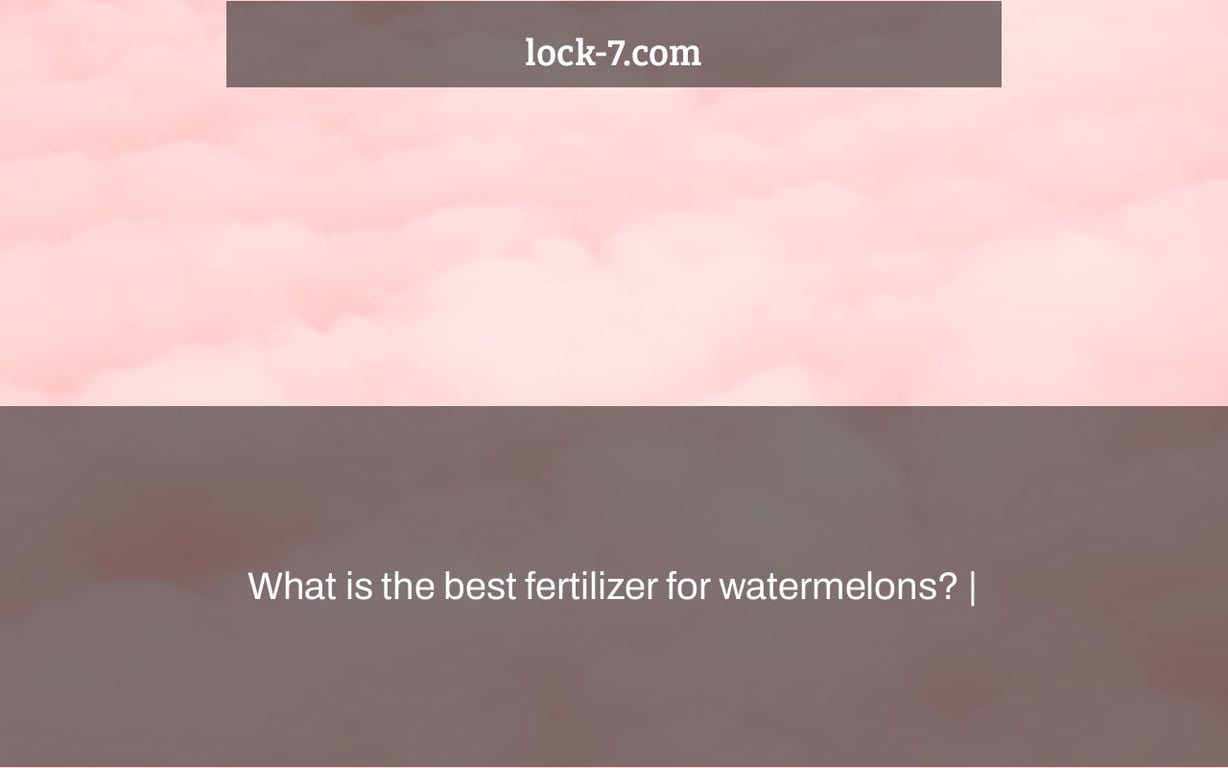 What is the best fertilizer for watermelons? |