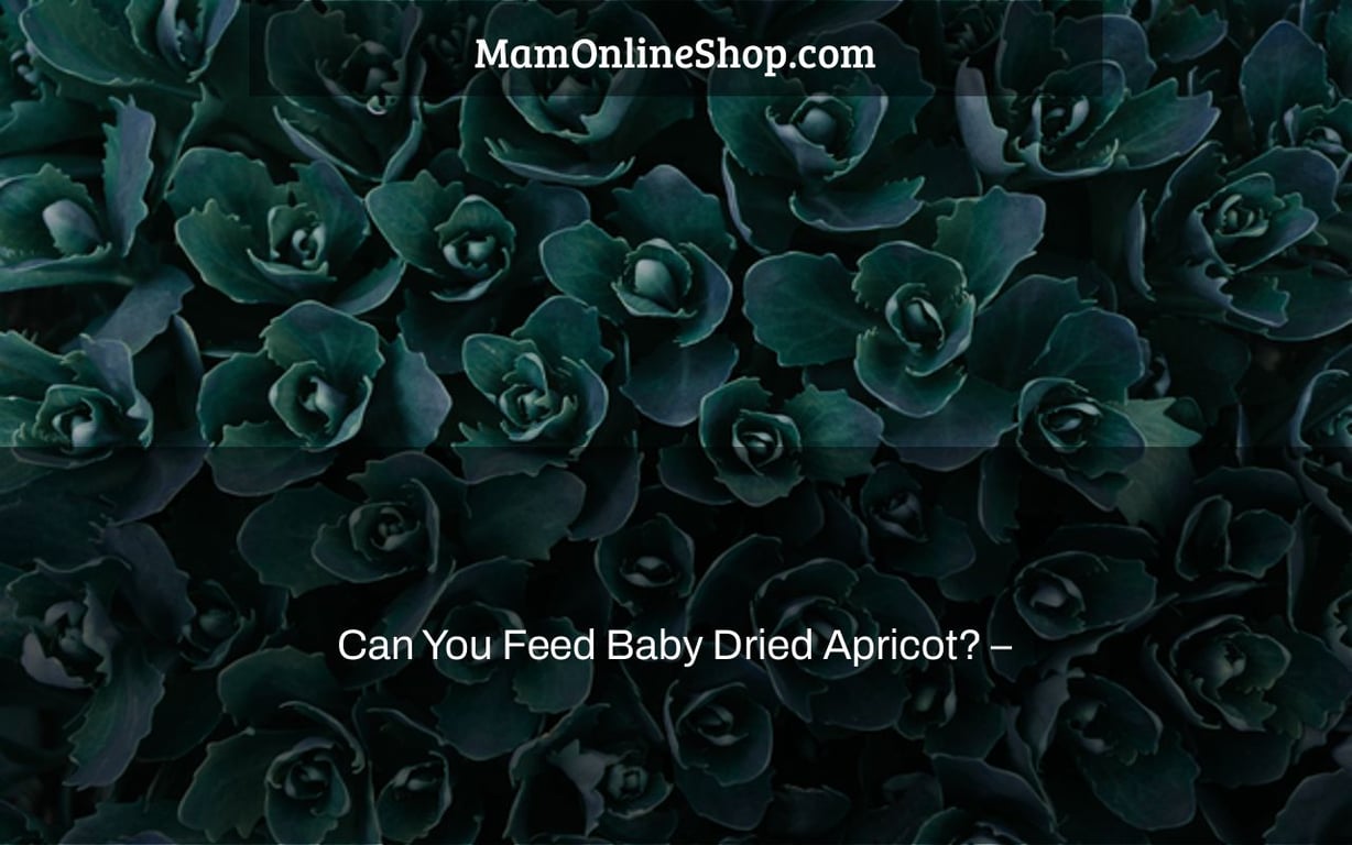 Can You Feed Baby Dried Apricot? –