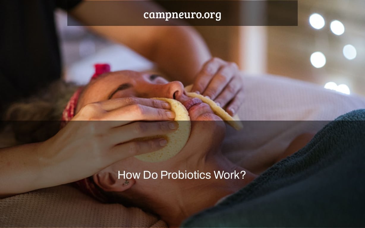 How Do Probiotics Work?