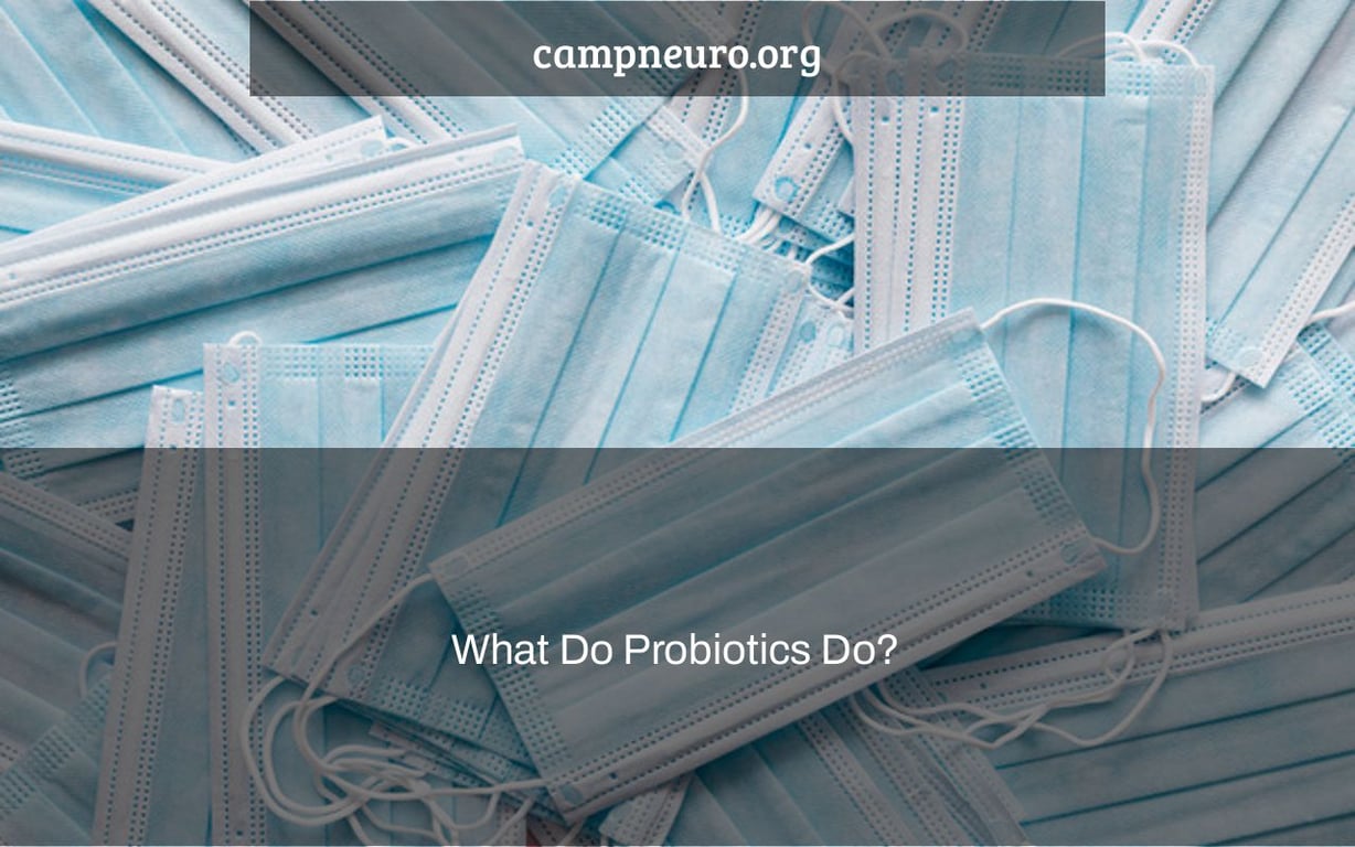 What Do Probiotics Do?
