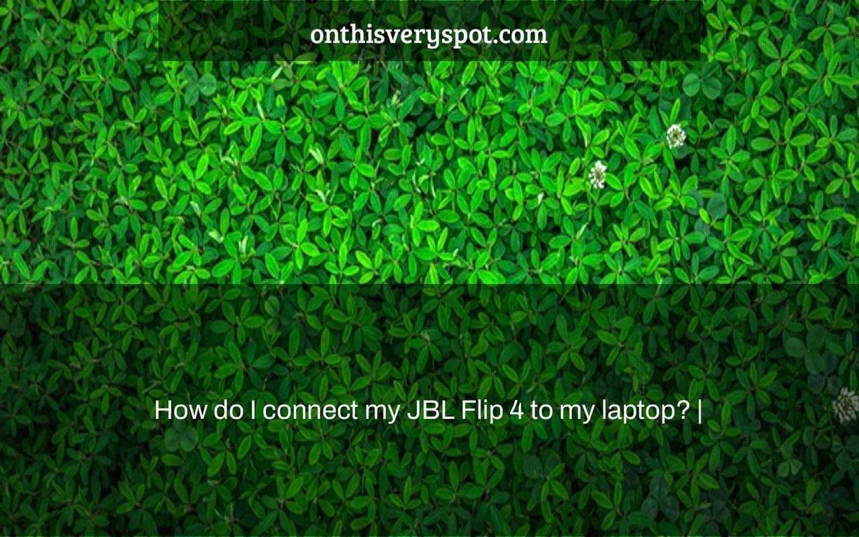 How do I connect my JBL Flip 4 to my laptop? On This Very Spot