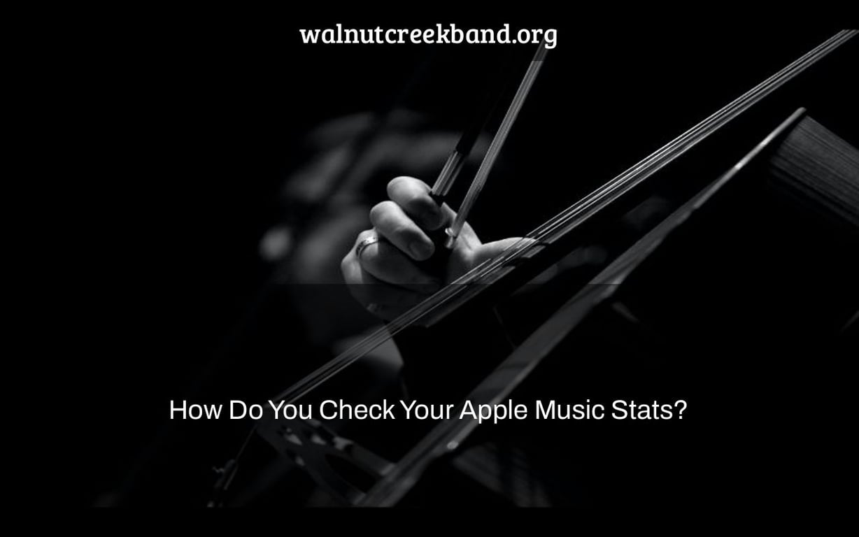 How Do You Check Your Apple Music Stats?
