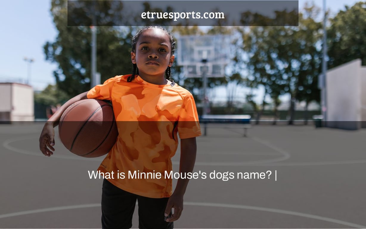 What is Minnie Mouse's dogs name? |