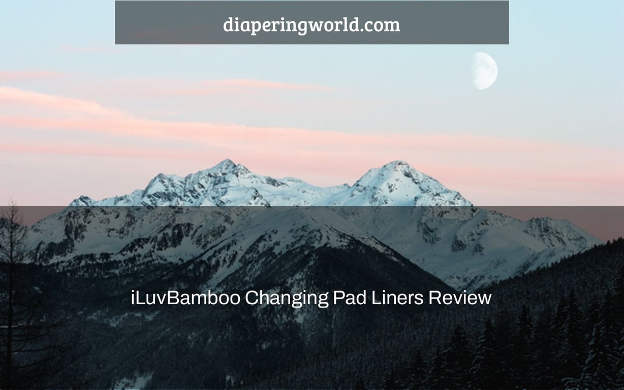 iLuvBamboo Changing Pad Liners Review
