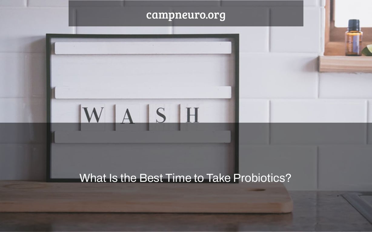 What Is the Best Time to Take Probiotics?