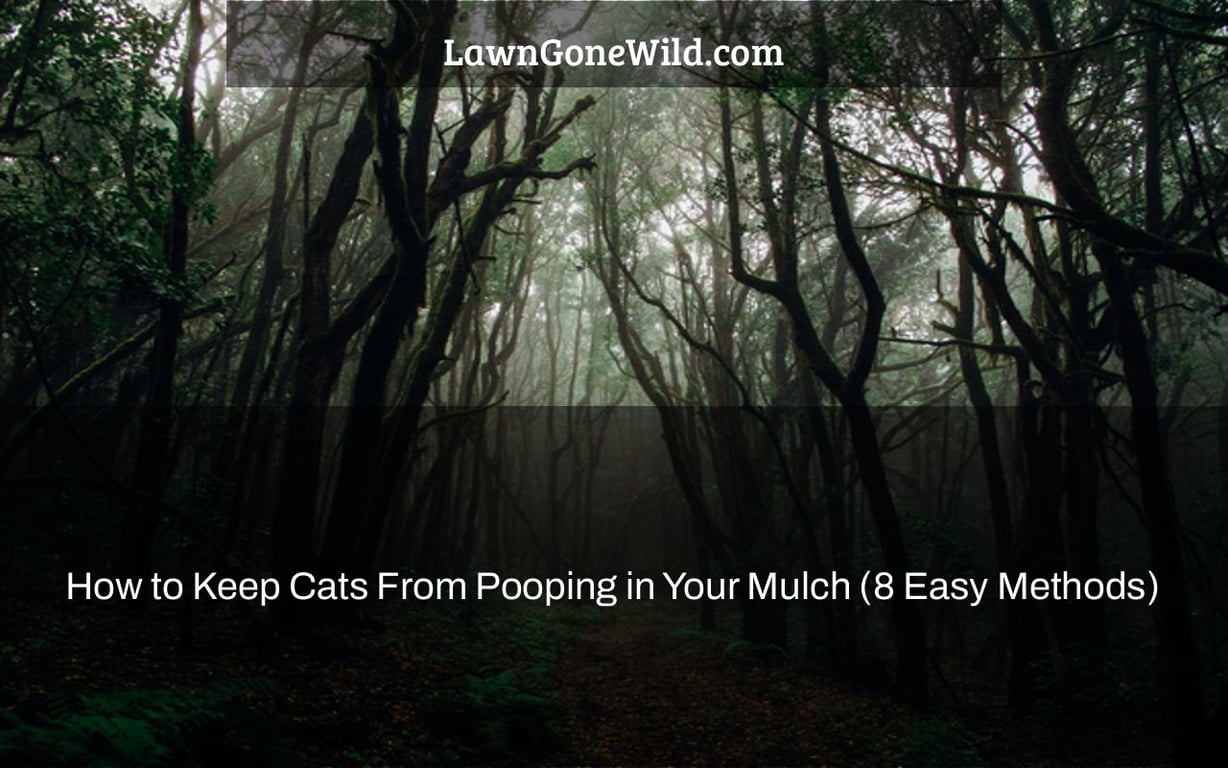 How to Keep Cats From Pooping in Your Mulch (8 Easy Methods) Lawn