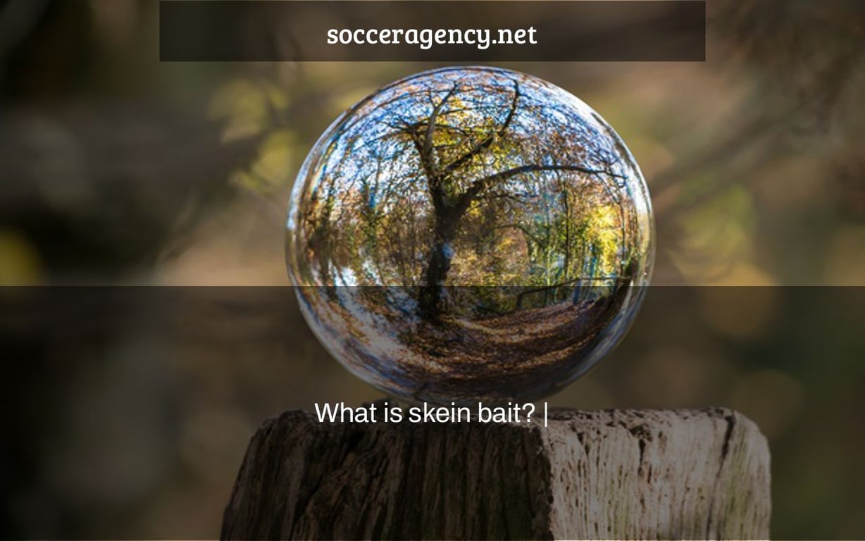 What is skein bait? |