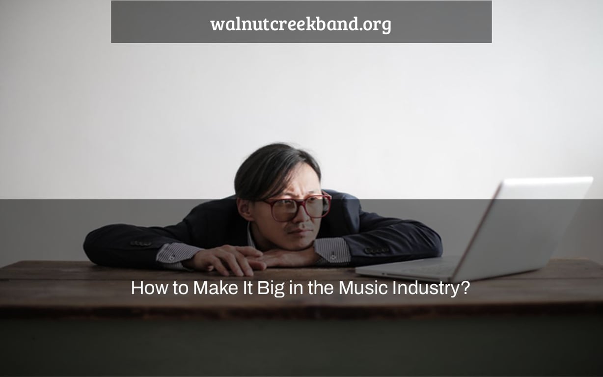 How to Make It Big in the Music Industry?