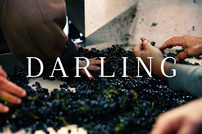 Darling Wines Header