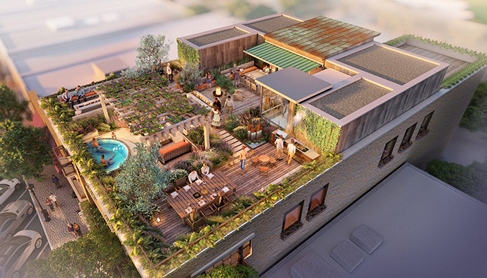 The Mayacama Terraces