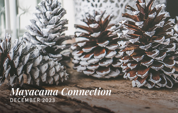 Mayacama Construction