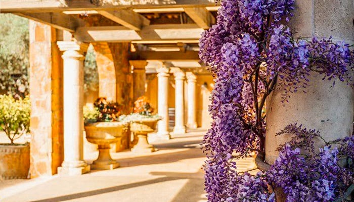 New & Exciting Year at Mayacama