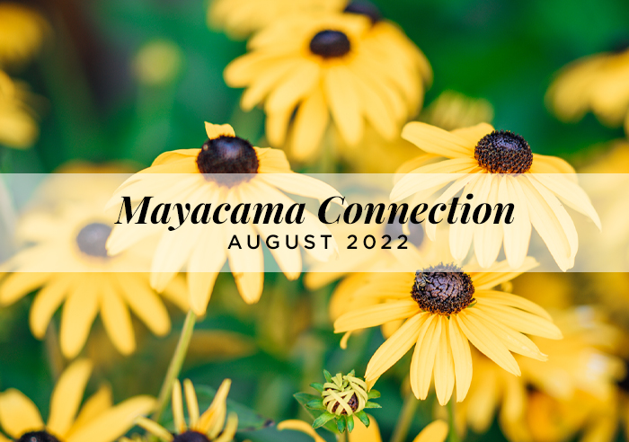 Mayacama Header Image