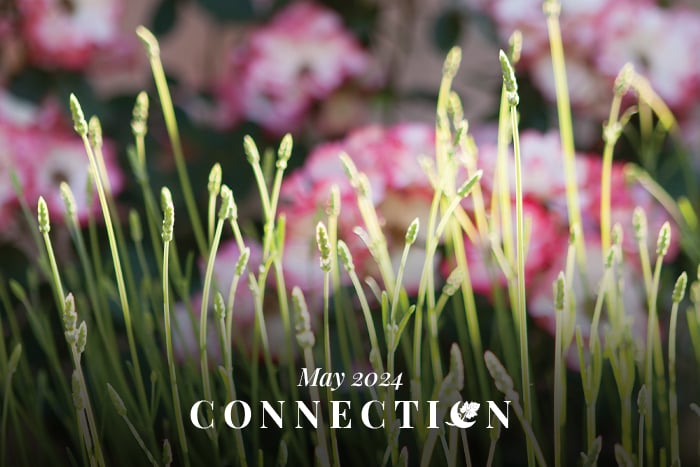 Mayacama Construction