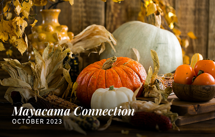 Mayacama Construction