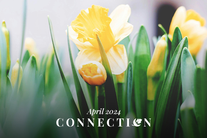 Mayacama Construction