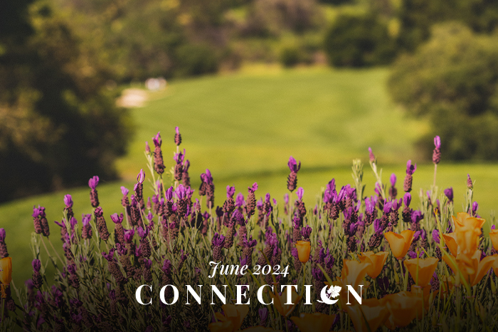 Mayacama Construction