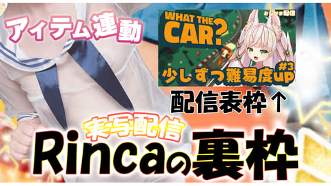 【実写/連動】Rincaの裏枠【WHAT THE CAR？】３