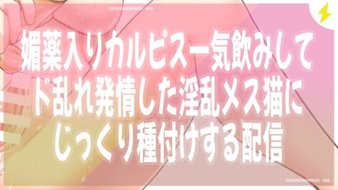 【アイテム連動】イキ壊れ発情メス猫に種付け【媚薬カルピス】