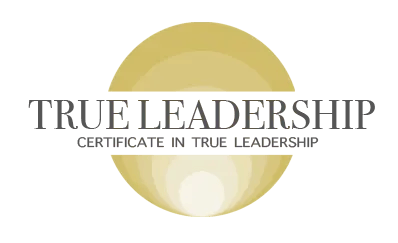 Professional system thinking for agile operations