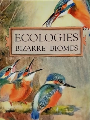Caja de Ecologies: Bizarre Biomes