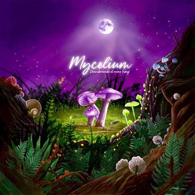 Caja de Mycelium: Descubriendo el reino fungi