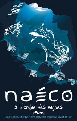 Caja de Naéco