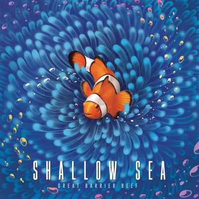 Caja de Shallow Sea