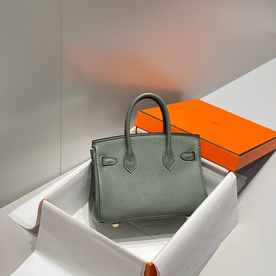 Hermes Birkin 20Cm Vert Amande Togo Leather Gold Hardware view 4