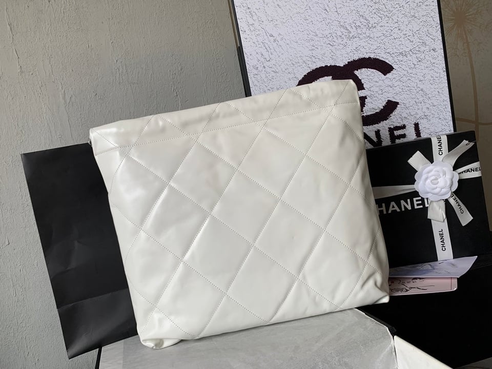 Chanel 22 Hobo White Calfskin Silver Hardware view 5