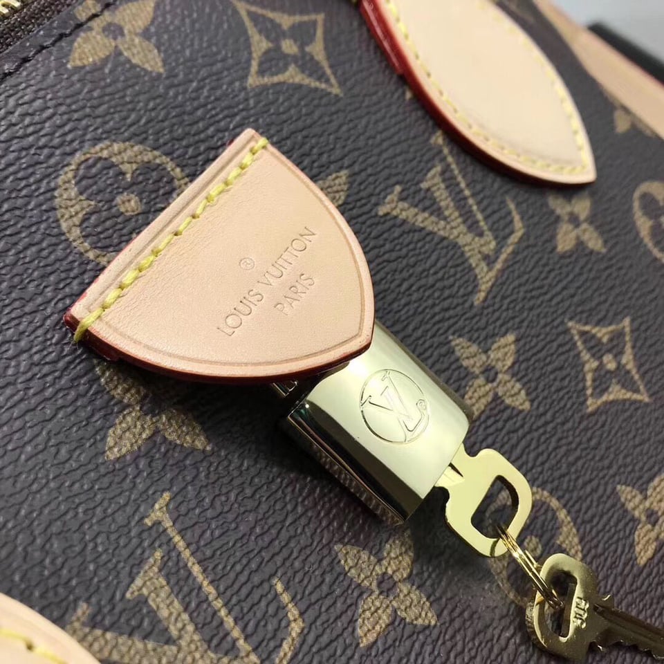 Louis Vuitton Rivoli Pm 30.5 Cm view 4