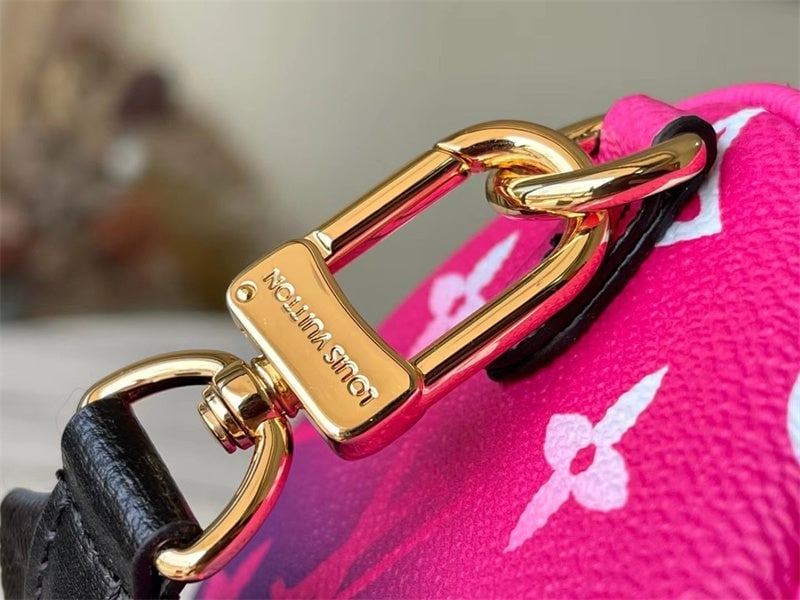 Louis Vuitton Papillon Bb 20Cm Midnight Fuchsia view 5