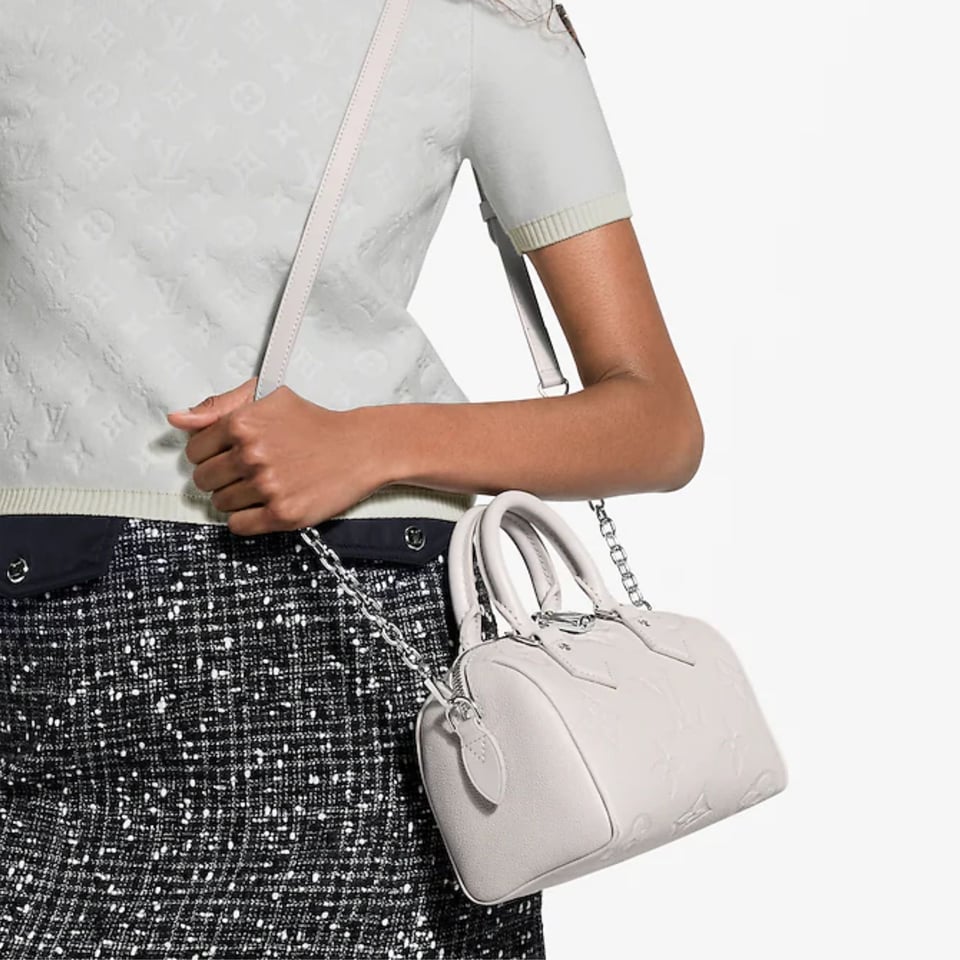 Louis Vuitton Speedy 20 Bag Brume Grey 16cm M28343 view 11