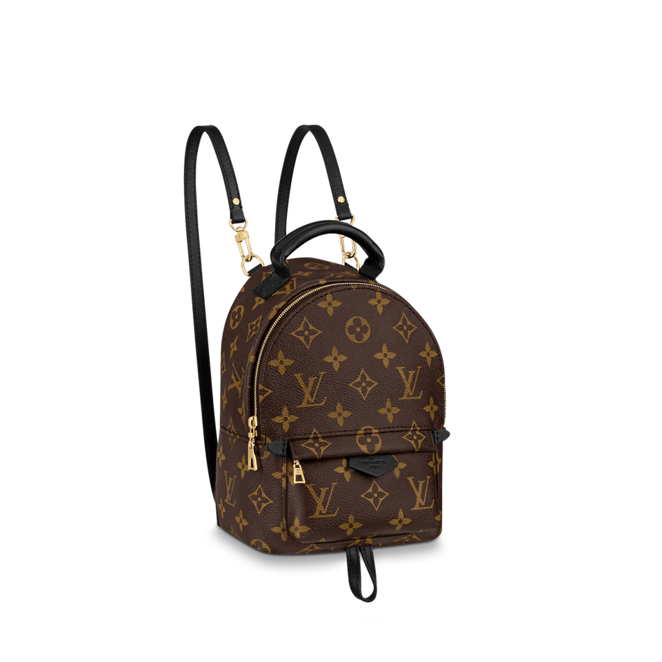 Louis Vuitton Palm Springs Backpack PM Monogram Canvas – 22cm/8.7in