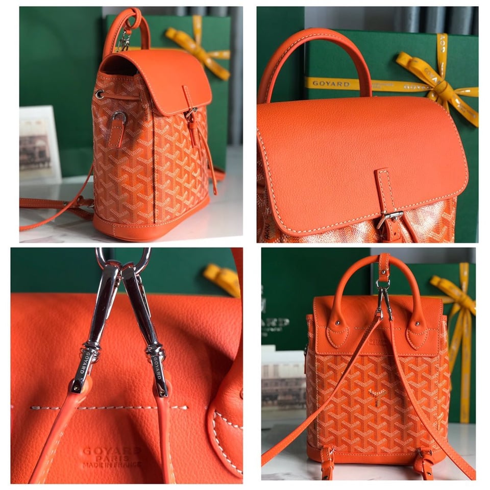 Goyard Alpin Mini Backpack 21 Cm Orange Lambskin And Goyardine Canvas view 4