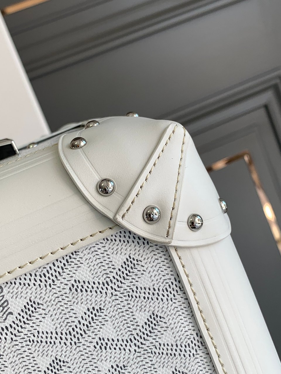 Goyard 50cm view 7